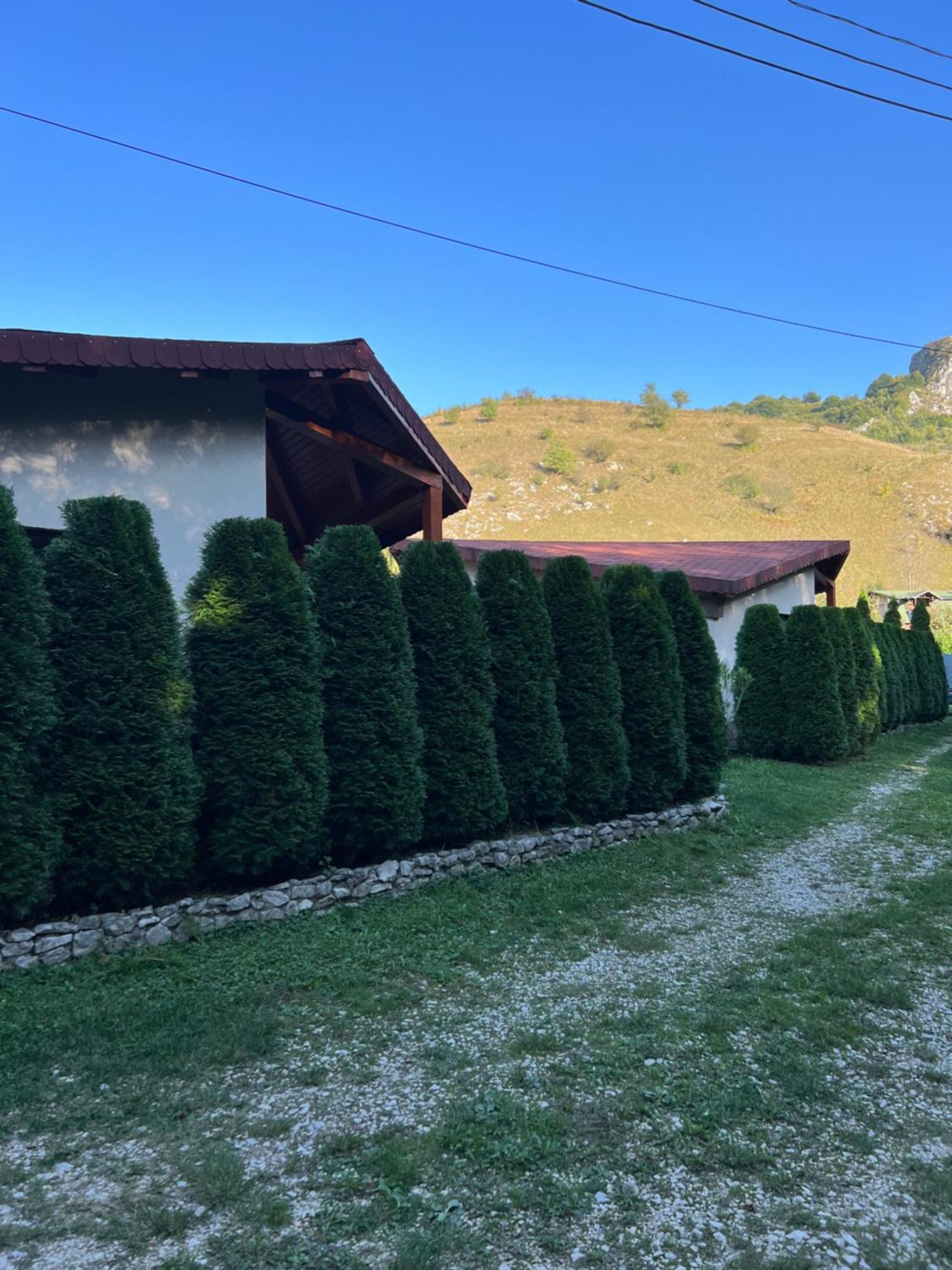 Studiouri Valisoara Exterior foto